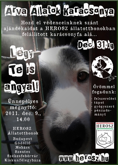 arva_allatok_karacsonya
